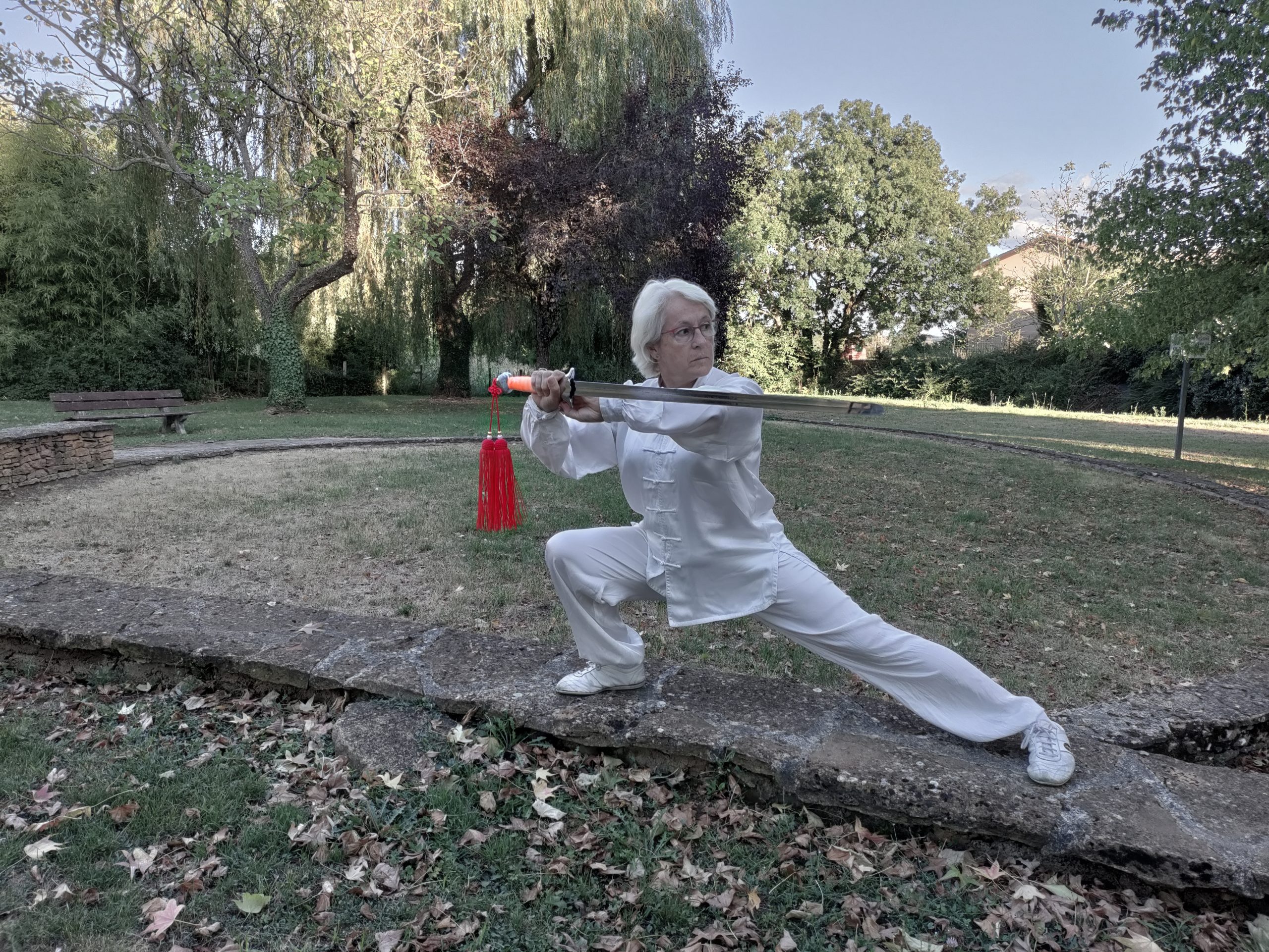 Académie des Arts Martiaux Chinois