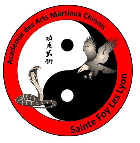 Académie Des Arts Martiaux Chinois